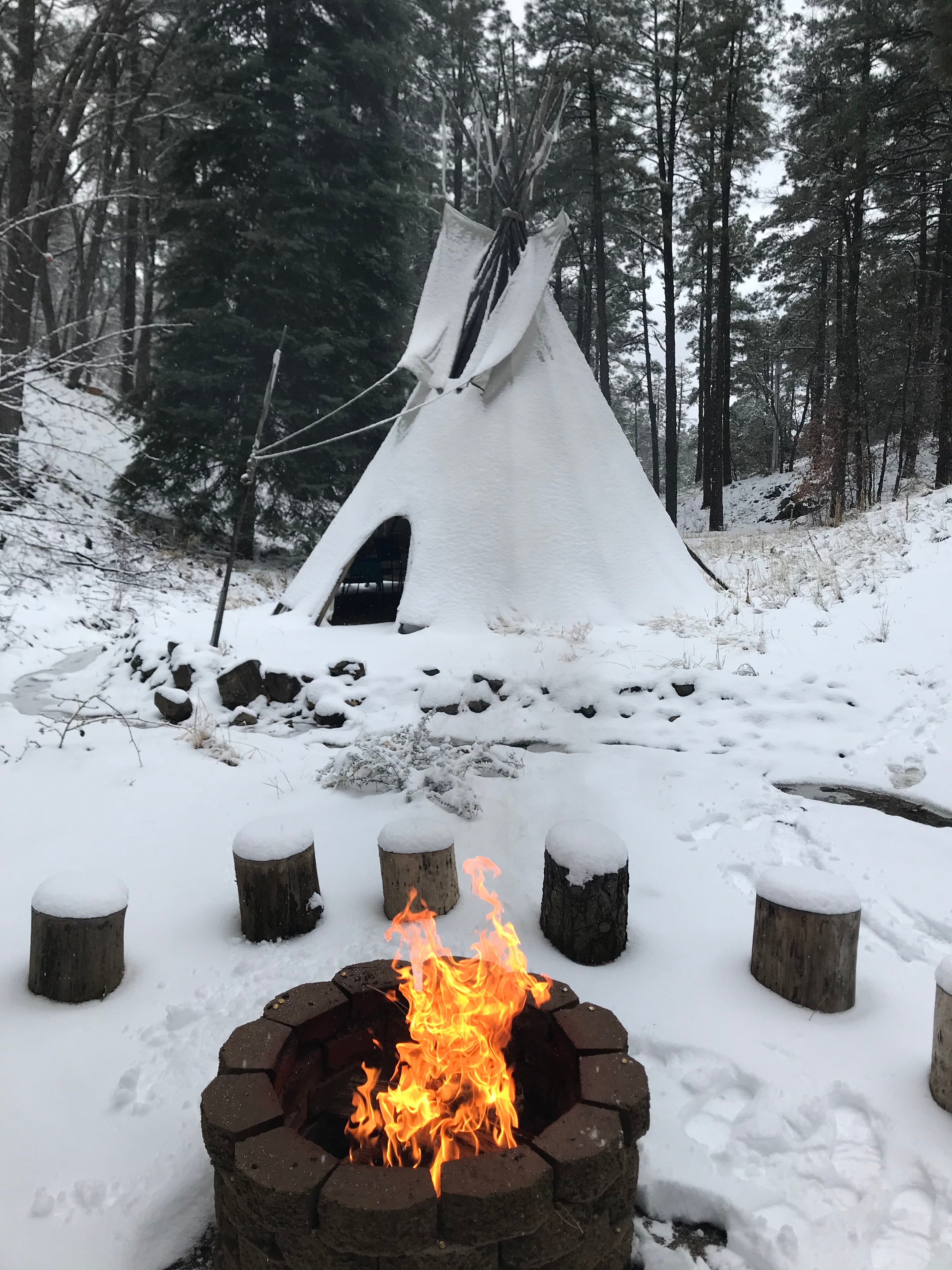 Winter campfire with teepee in snowy woods